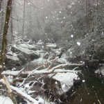 Tallulah River near Tate City, GA