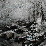 Tallulah River near Tate City, GA